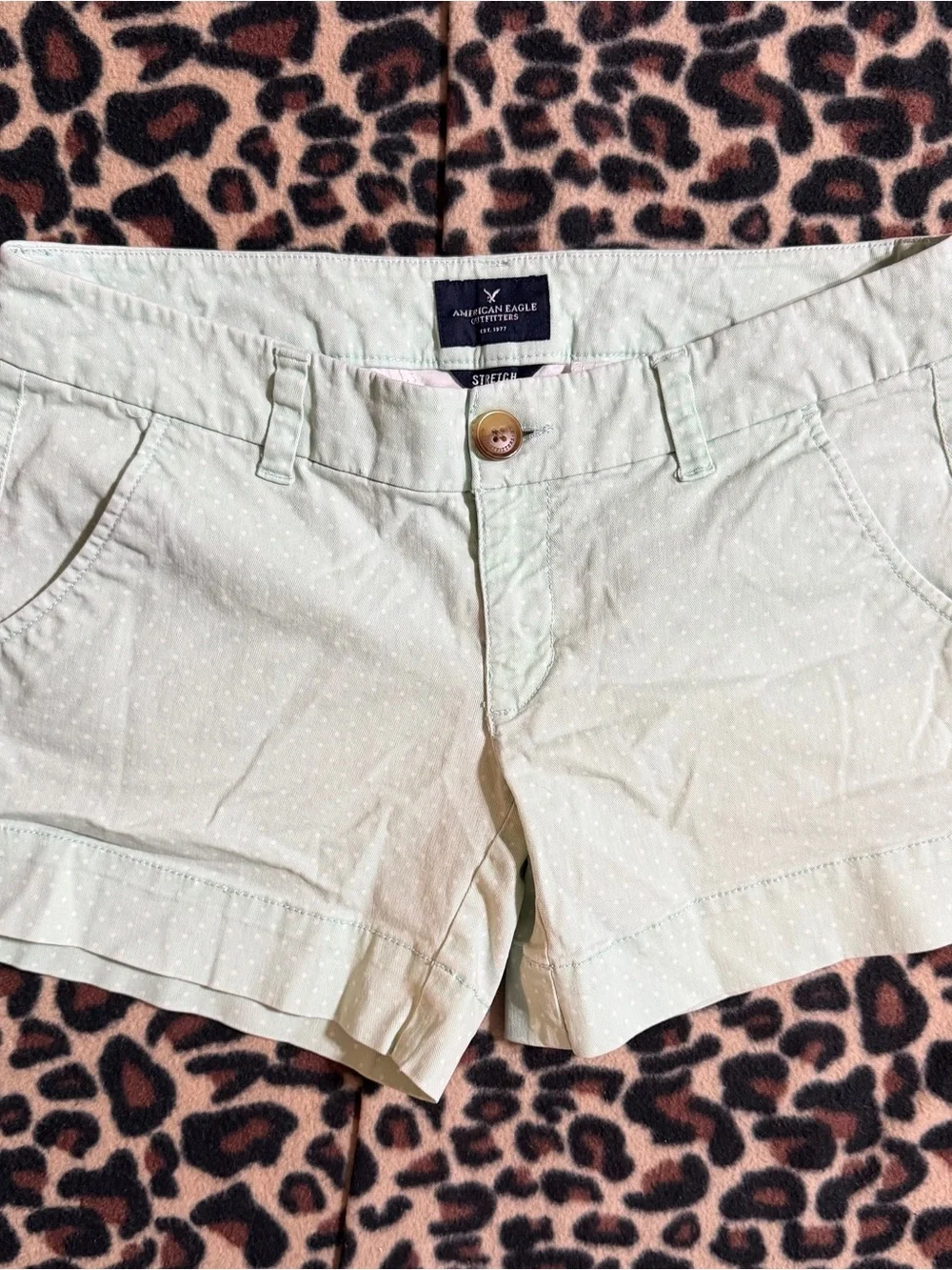 2000s vintage style American Eagle whimsical green polka dot low rise shorts